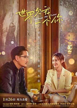 广州市seo软件优化代理商